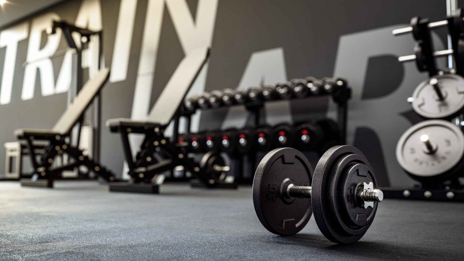 Rack of cast-iron gym weights and rubber hex dumbbells in a home gym