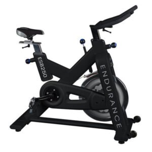 Body-Solid (ESB250) Endurance Indoor Cycle